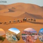 Camel caravan during tours from Marrakech"