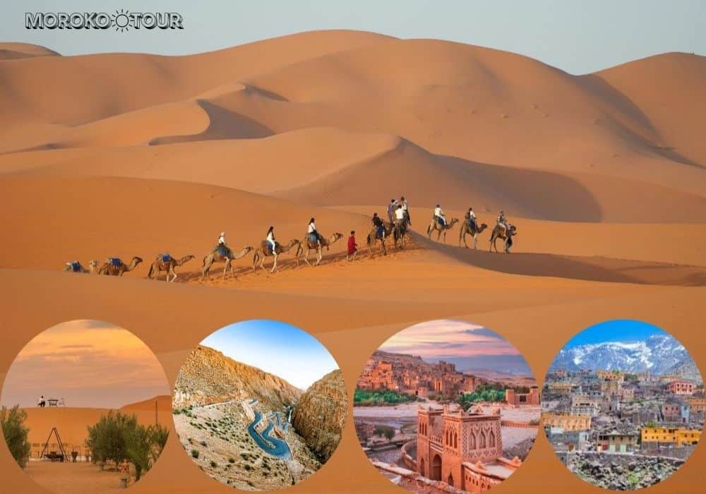 Camel caravan during tours from Marrakech"