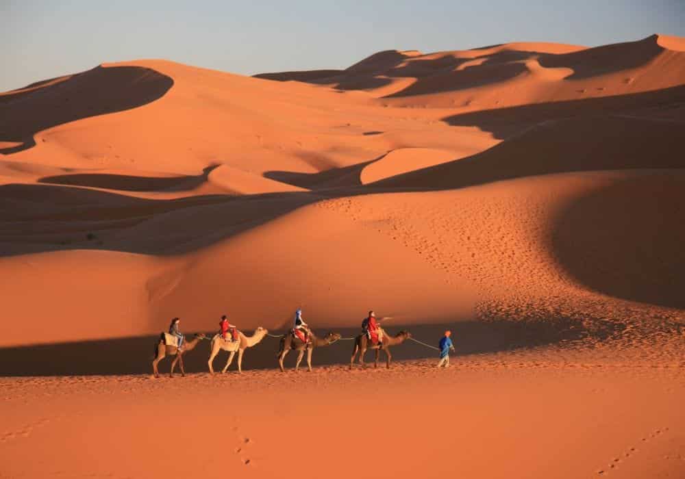 Camel trekking in the Merzouga dunes during a 2-day tour from Fes Camel Trekking in Merzouga Sahara Desert
