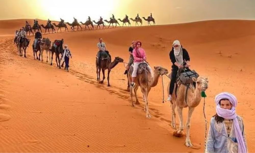 Merzouga Camel Caravan – Erg Chebbi Dunes Morocco Camel caravan crossing the golden Erg Chebbi dunes in Merzouga, Morocco during sunset