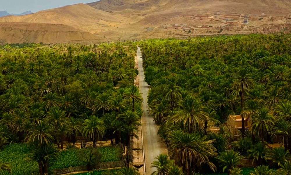 Ait Ben Haddou – Morocco Sahara Desert Tour Stop Ait Ben Haddou Kasbah, UNESCO World Heritage site visited on Morocco Sahara Desert Tours.